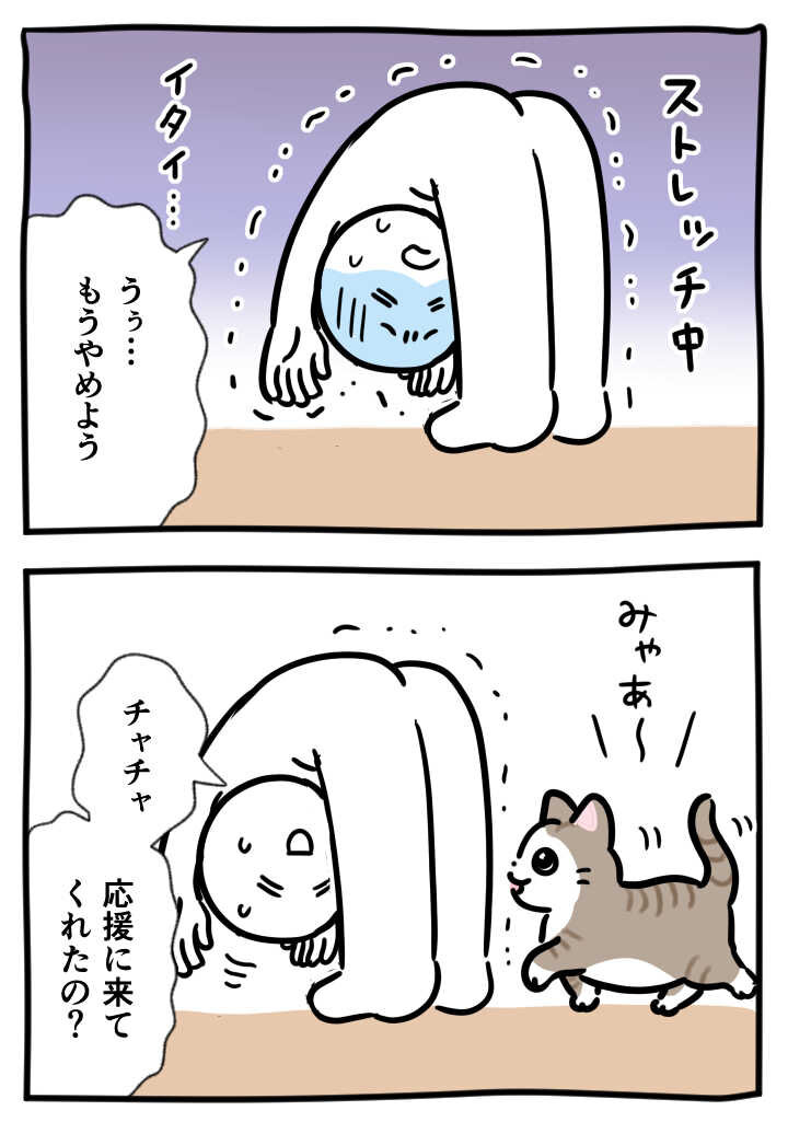 4-sutorecchi1
