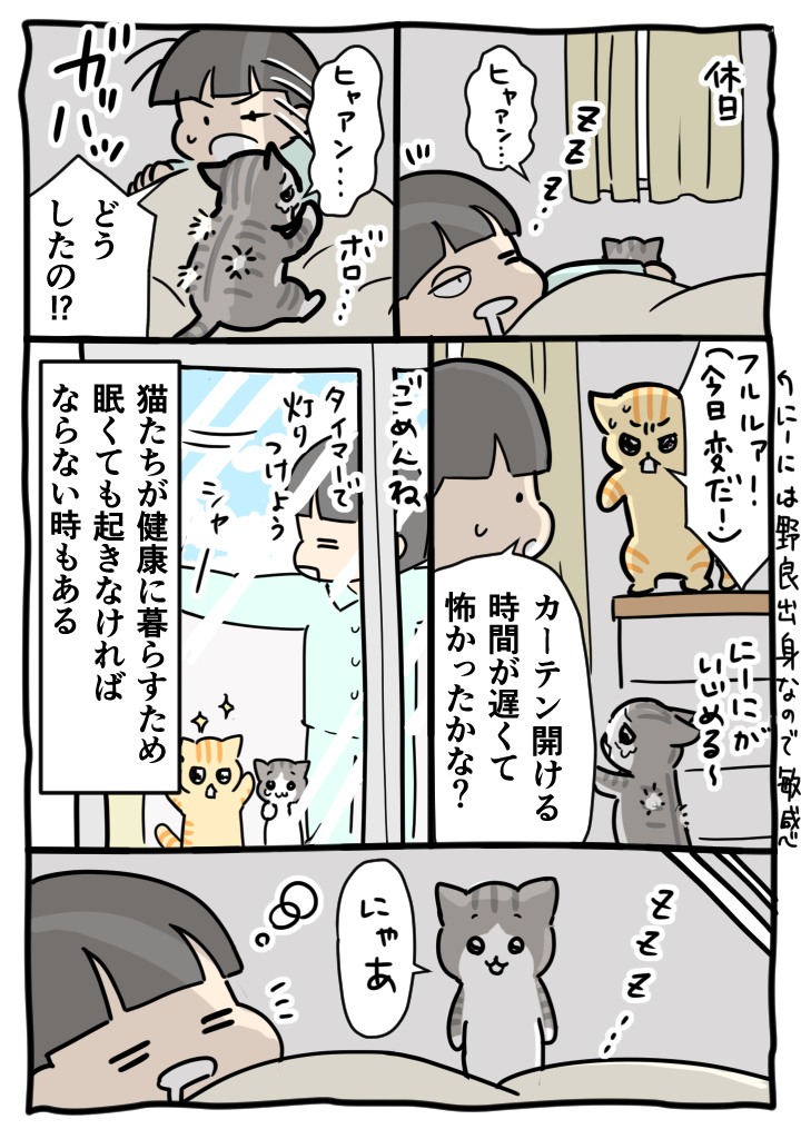 81_ okosareru