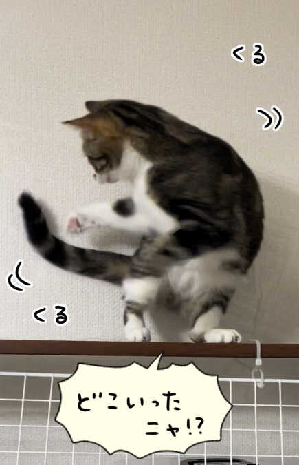 20240527_2