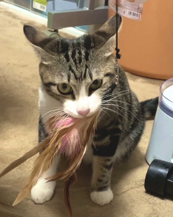 82_babyschema_picture2_insta