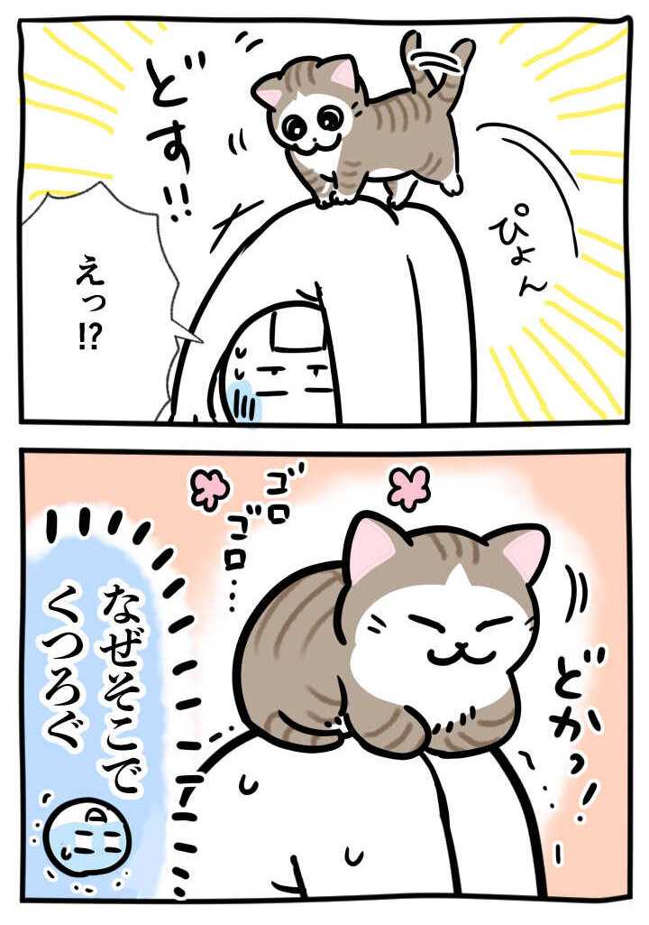 4-sutorecchi2