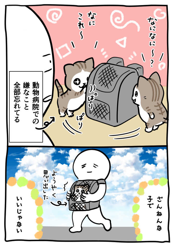12-ahonoko2