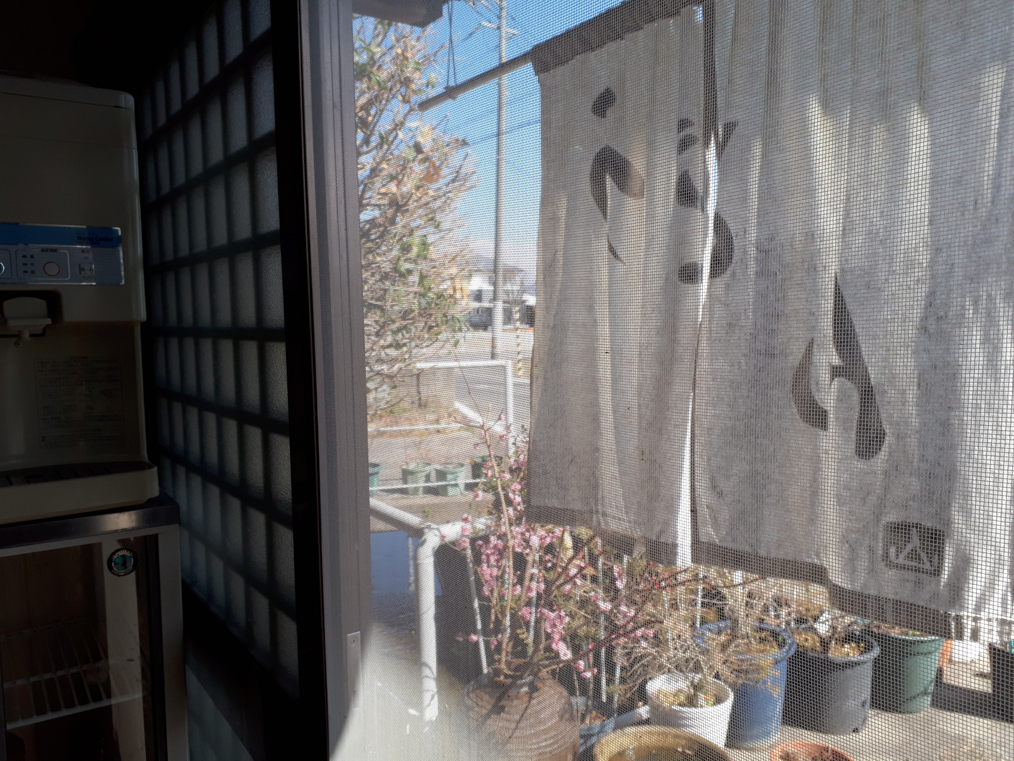 もう体重測るのやめた すーぱーろんりーシャン 飲み食いれぽーと