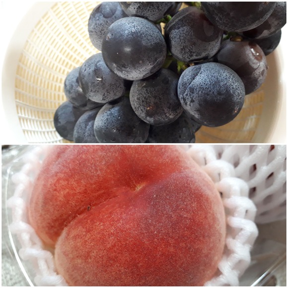 fruits (1)