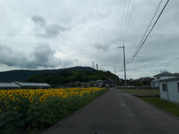 udon ten (7)