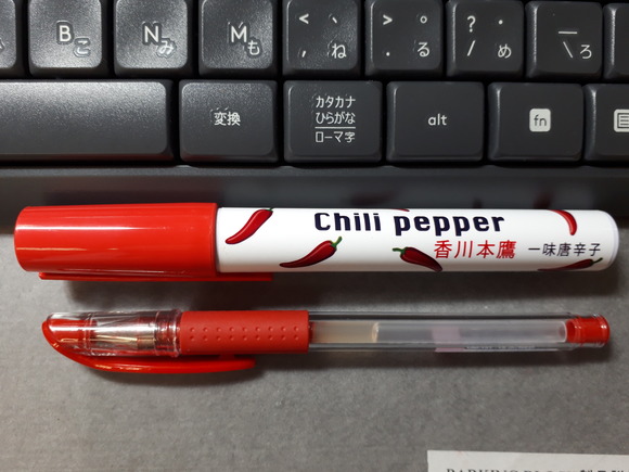 a pen (2)