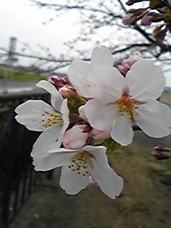 0abd59a9.jpg