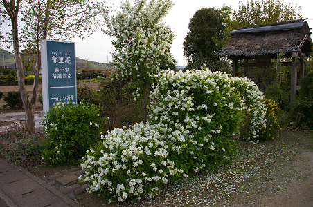イメージ 1
