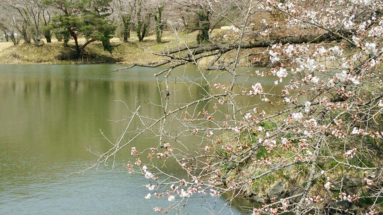 イメージ 3