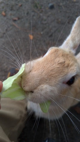 P_20191023_112751_vHDR_Auto