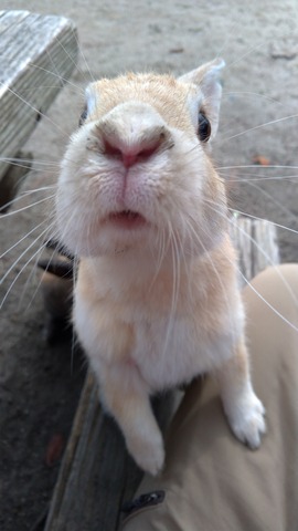 P_20191023_112710_vHDR_Auto