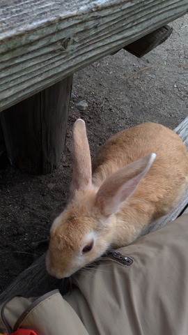 P_20191023_112819_vHDR_Auto