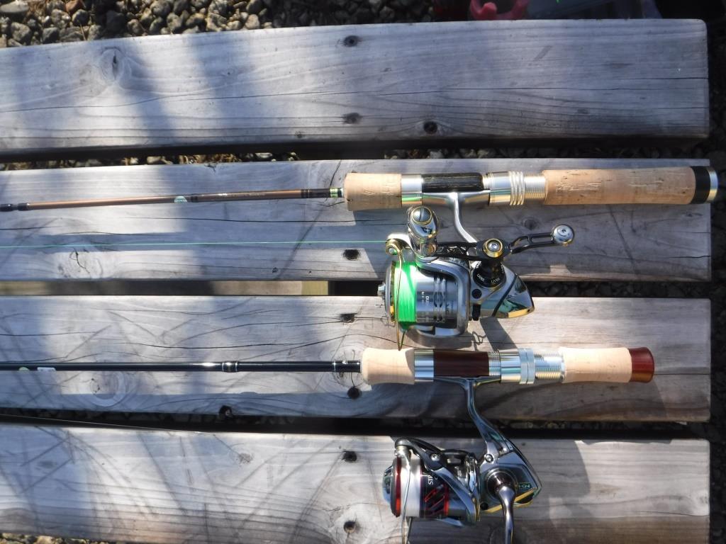 19エゲリアグラスロッド手に入れました Illusions21masuのblog