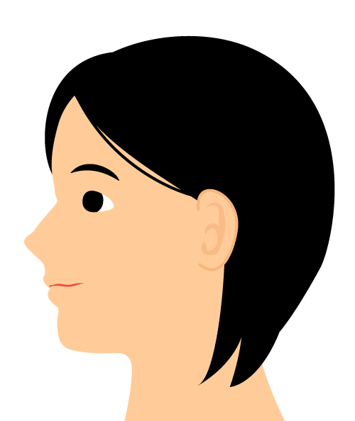 鼻を高くする 美容整形 エステのイラスト素材集 鼻を高くする 美容整形 エステのイラスト素材集