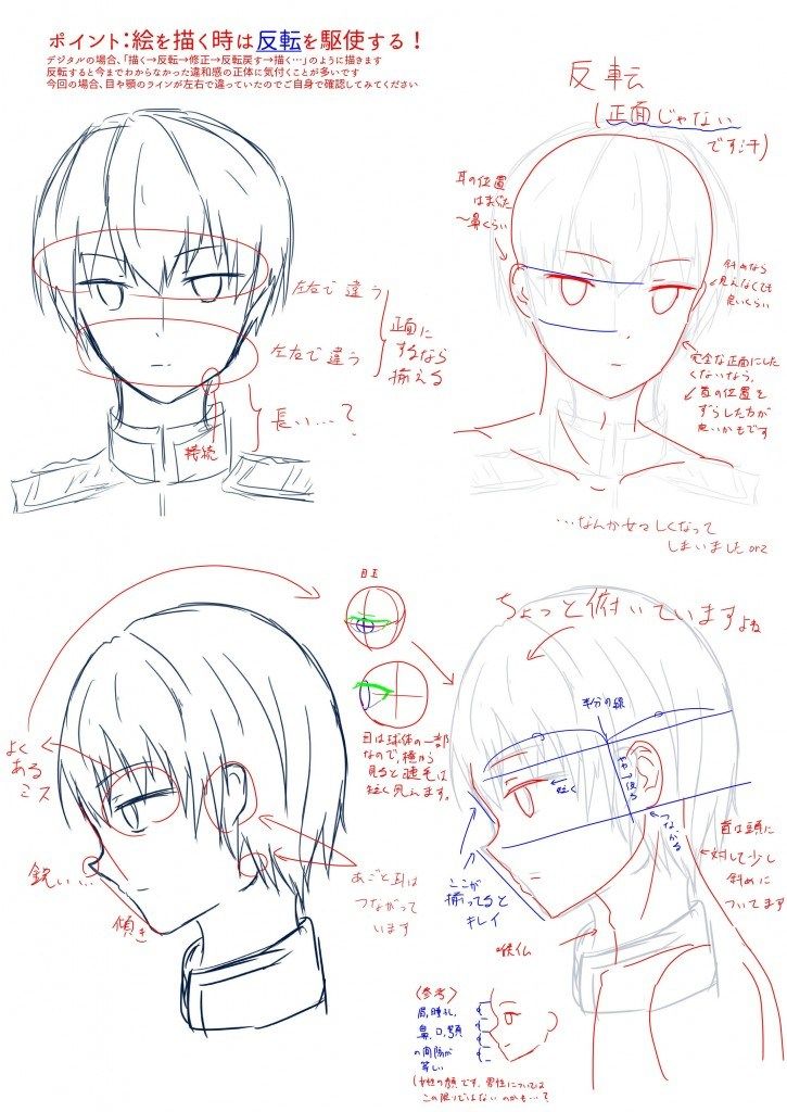 Jpirasuto8gpfni いろいろ 菊 イラスト 描き方 菊 イラスト 描き方