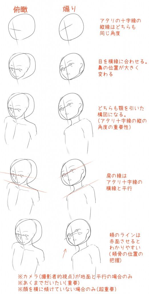 顔のアタリ十字線の役割を考える 色弱でもイラストは描けるのか