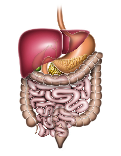26_27ページ(16-4(同じ)2