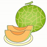 メロンのイラスト・絵カード素材｜夏の果物のイラスト