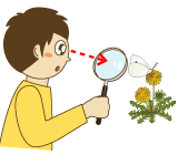 「見る」「観察」のイラスト・絵カード