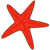 幼稚園児のイラスト 絵カード ひとでのイラスト 絵カード素材 幼稚園児のイラスト 絵カード ひとでのイラスト 絵カード素材