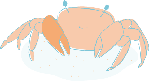 カニのイラスト・絵カード