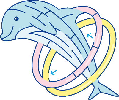 ϩν渫񤤤ϤǺ֤뤫