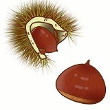 ���Υ��饹�ȡ����������Ǻ�ý��β�ʪ�Υ��饹��