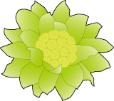 �դ��ΤȤ��Υ��饹�ȡ���������