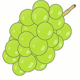 ぶどう(マスカット)のイラスト・絵カード素材|秋の果物のイラスト