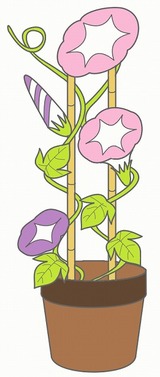 ���������Υ��饹�ȡ����������Ǻ�òƤβ֤Υ��饹��