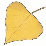 �ݥץ���ա����դΥ��饹�ȡ����������Ǻ�ý��Υ��饹��