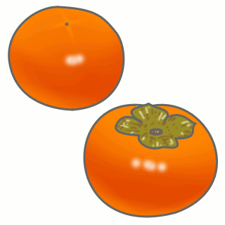 柿のイラスト・絵カード素材｜秋の果物のイラスト