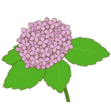 ���������Υ��饹�ȡ����������Ǻ�