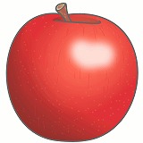 󤴤Υ饹ȡǺòʪΥ饹