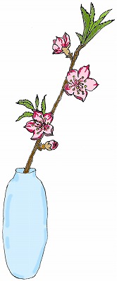 幼稚園児のイラスト 絵カード 桃の花のイラスト