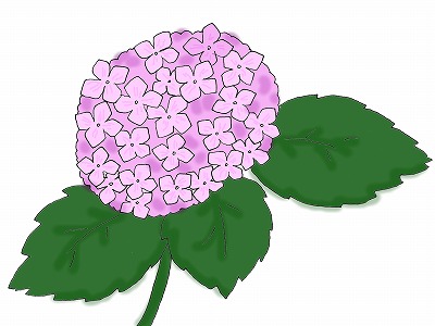 ���������ʤ��������ˤΥ��饹�ȣ�/�߱��Υ��饹��