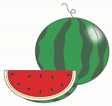 すいかのイラスト・絵カード素材|夏の果物のイラスト