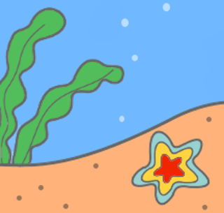 幼稚園児のイラスト 絵カード ひとでのイラスト 絵カード素材 海の生き物のイラスト