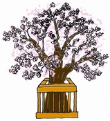 �Ҥʺפ�γ������ɥ��饹���Ǻ�/��/��