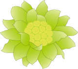 �դ��ΤȤ��Υ��饹�ȡ���������