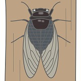 ���ߤΥ��饹�ȡ����������Ǻ�òƤ���Υ��饹��