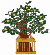 �Ҥʺפ�γ������ɥ��饹���Ǻ�/�̡������Ф�/��