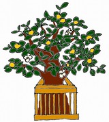 �Ҥʺפ�γ������ɥ��饹���Ǻ�/�̡������Ф�/��