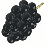 ぶどう(黒)のイラスト・絵カード素材|秋の果物のイラスト
