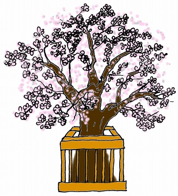 ひな祭りの絵カードイラスト素材/桜/中