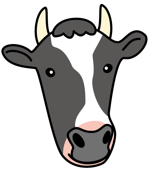 牛の顔のイラスト・絵カード