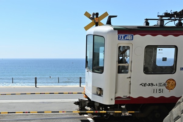 s_DSC_6156 (3)
