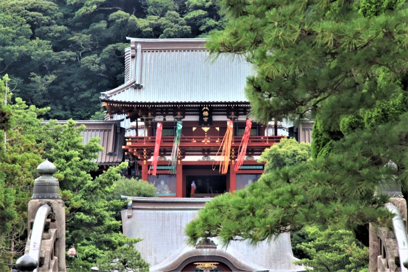 八幡宮の七夕飾りと花手水 今日の鎌倉 八幡宮の七夕飾りと花手水 今日の鎌倉