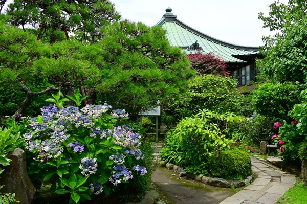 m*a様 村上玄輝　香炉 蓋付き　紫陽花 m*a様 村上玄輝 香炉 蓋付き 紫陽花 m*a様 村上