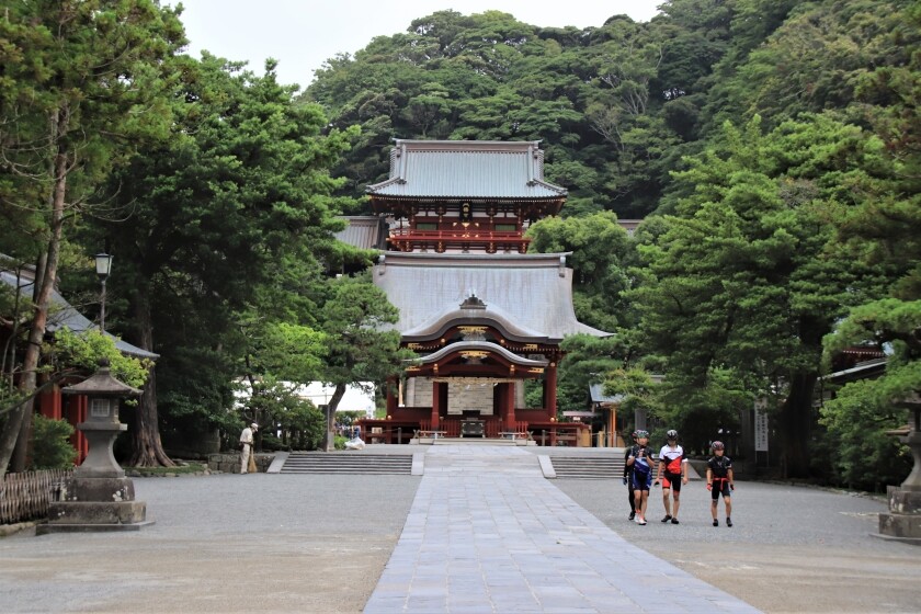 鶴岡八幡宮の花手水と蓮とカワセミ 今日の鎌倉